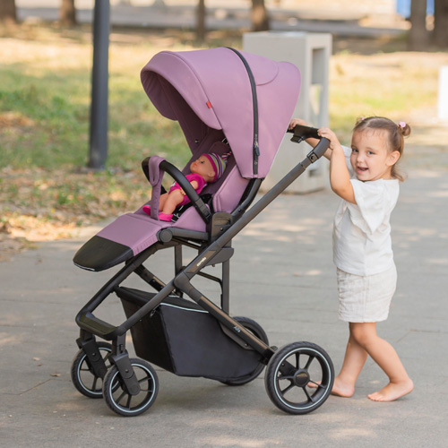 Прогулочная коляска CARRELLO Alfa CRL-5508 BF