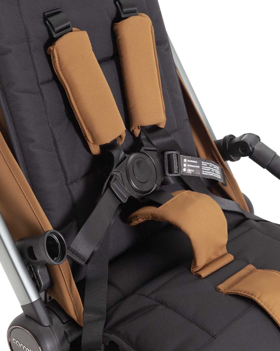 Прогулочная коляска CARRELLO Atom M CRL-5527