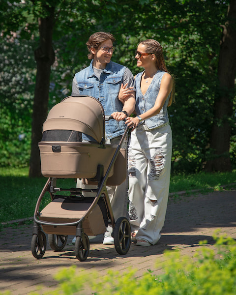 Коляска 2 в 1 CARRELLO Vector CRL-6700