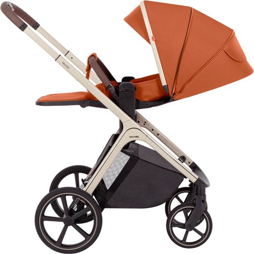 Коляска 2 в 1 CARRELLO Vector
