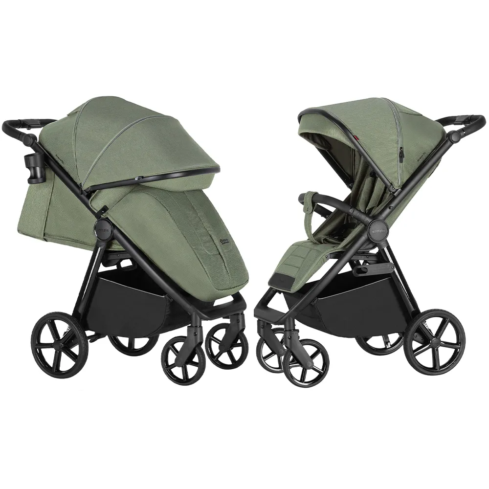 Прогулочная коляска CARRELLO Bravo SL CRL-5520 Fruit Green