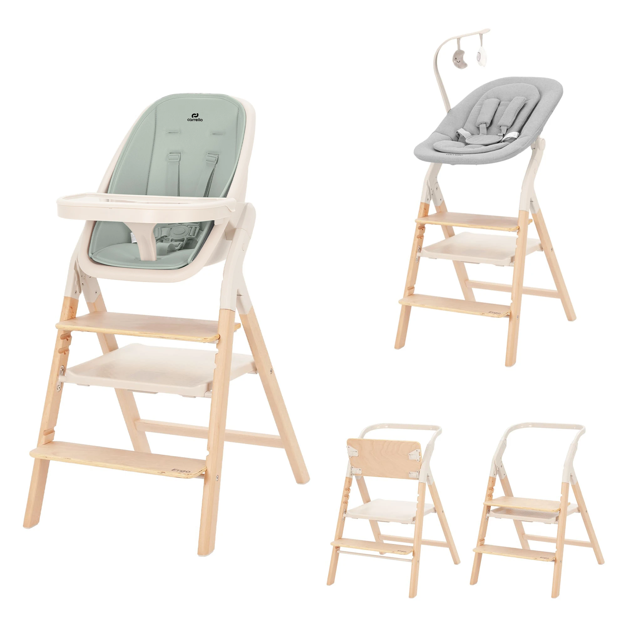 Стульчик для кормления CARRELLO Ergo CRL-16701 Elora Green