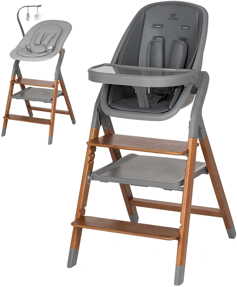 Стульчик для кормления CARRELLO Ergo CRL-16701 Night Grey