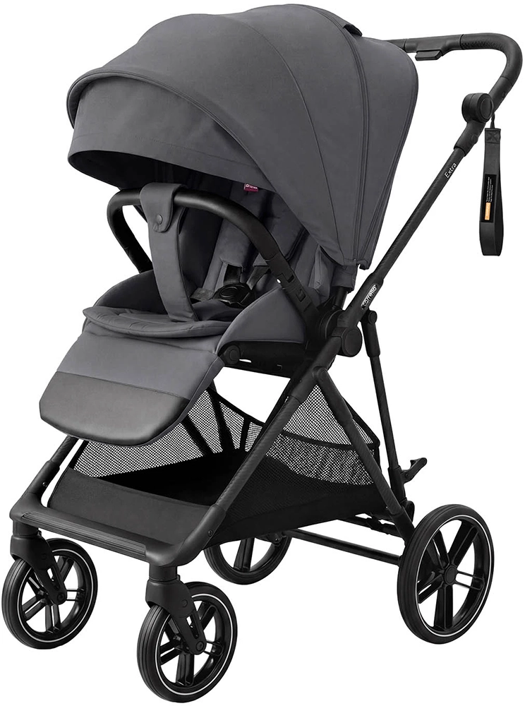 Прогулочная коляска CARRELLO Extra CRL-5532 Chrome Grey