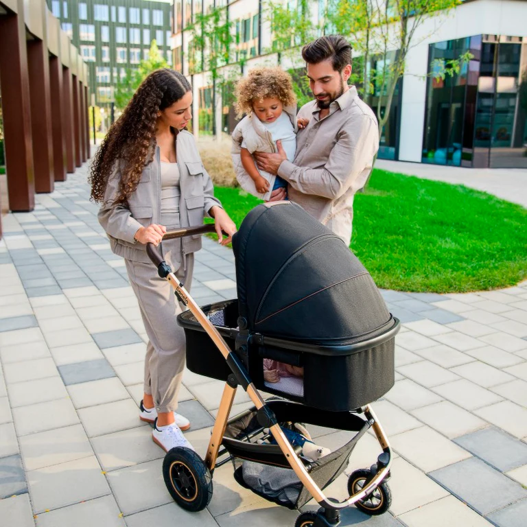 Дитячий візочок 3 в 1 Lionelo Amber Black Silver