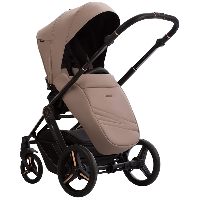 Коляска 2 в 1 Bebetto Monti PRO 03 Stella