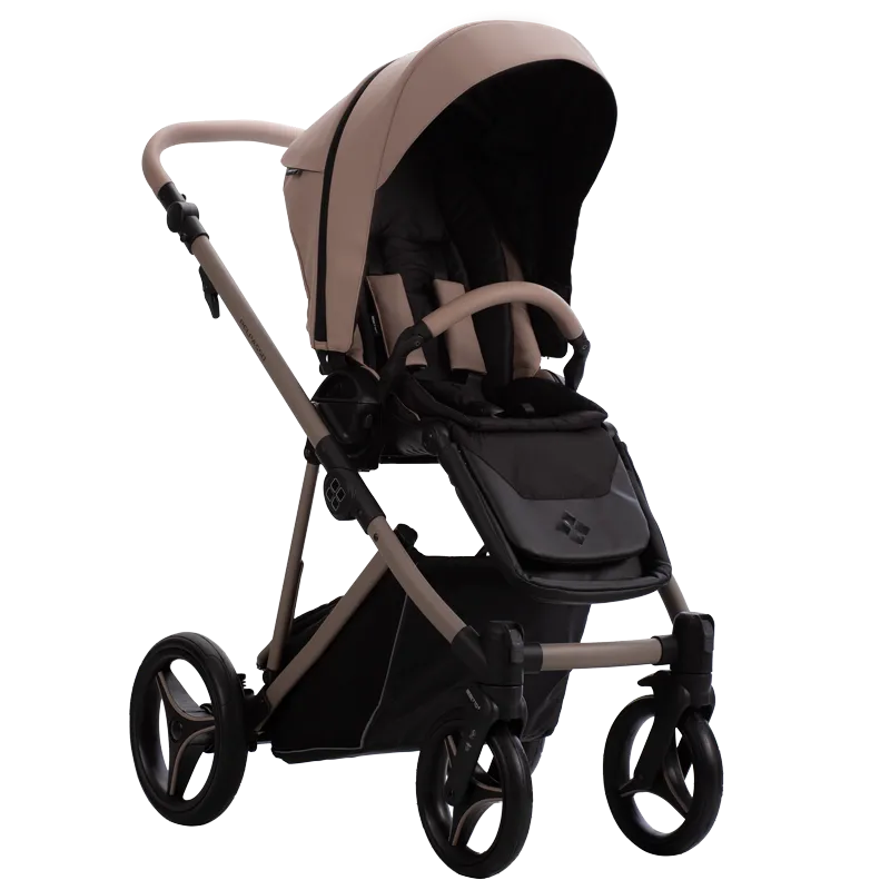 Коляска 2 в 1 Bebetto Pelpasso PRO 01 Kaszmir