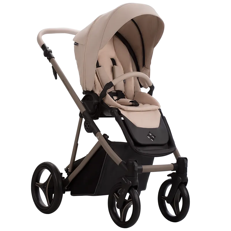Коляска 2 в 1 Bebetto Pelpasso PRO 02 Kaszmir
