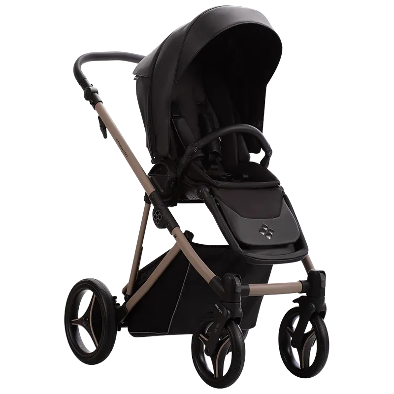 Коляска 2 в 1 Bebetto Pelpasso PRO 03 Kaszmir