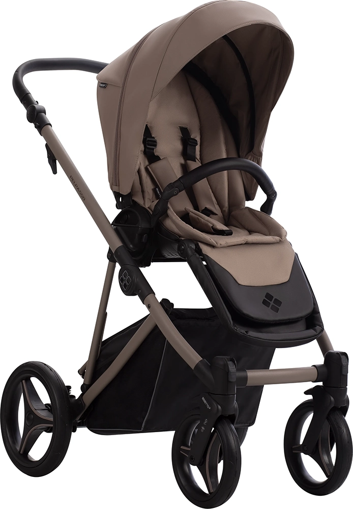 Коляска 2 в 1 Bebetto Pelpasso PRO 04 Kaszmir