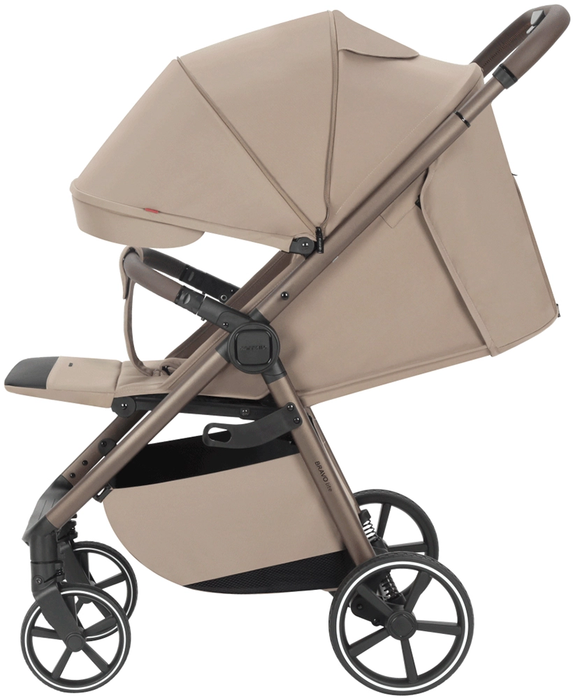 Прогулянкова коляска CARRELLO Bravo Lite CRL-5529 Wood Beige