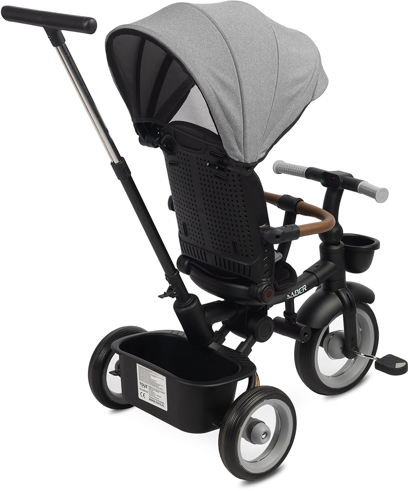 Дитячий триколісний велосипед Caretero (Toyz) Saber Grey