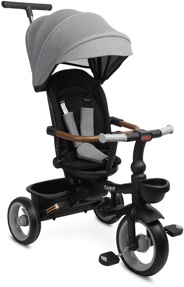 Дитячий триколісний велосипед Caretero (Toyz) Saber Grey
