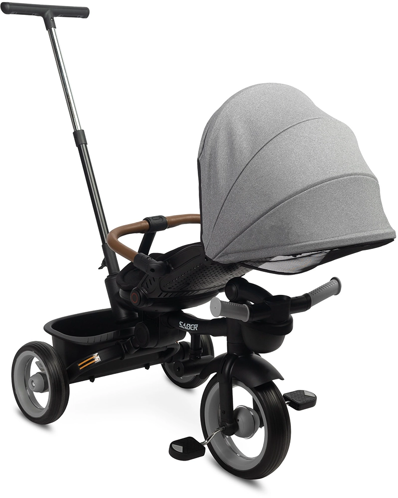 Дитячий триколісний велосипед Caretero (Toyz) Saber Grey