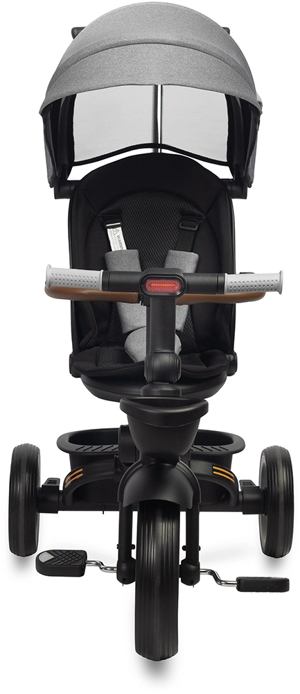 Дитячий триколісний велосипед Caretero (Toyz) Saber Grey