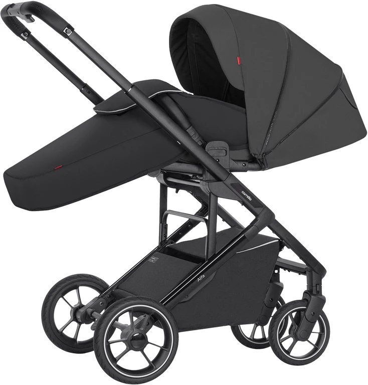 Прогулянкова коляска CARRELLO Alfa CRL-5508 BF Graphite Grey