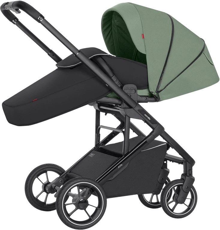 Прогулочная коляска CARRELLO Alfa CRL-5508 BF Sea Green