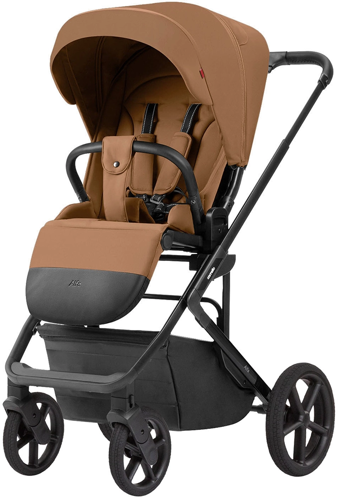 Коляска 2 в 1 Carrello Alfa CRL-6522 Honey Beige