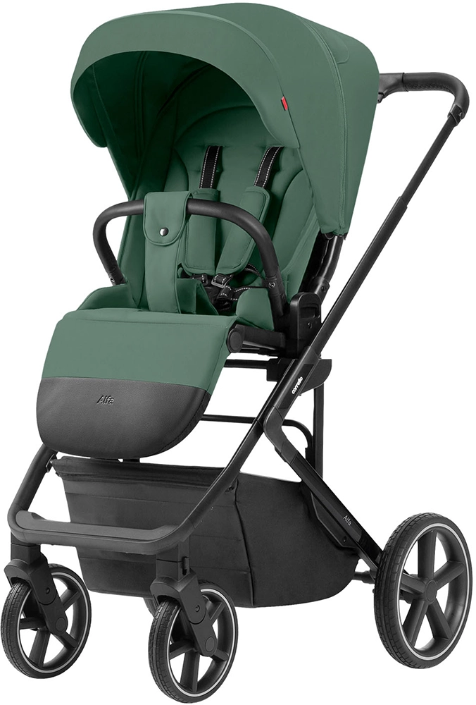 Коляска 2 в 1 Carrello Alfa CRL-6522 Meadow Green