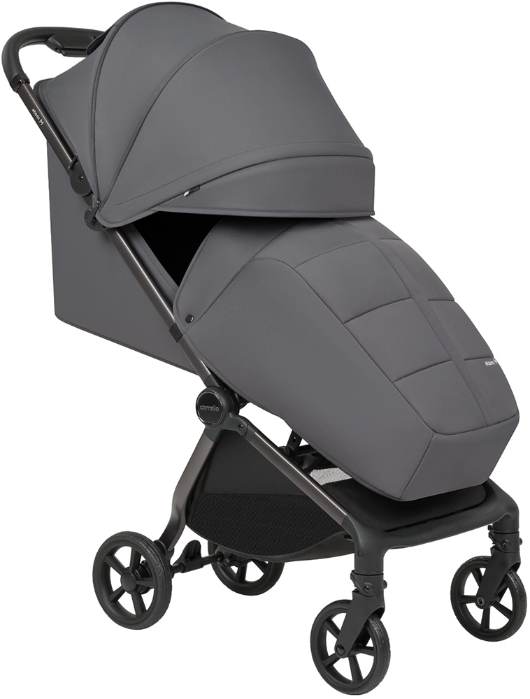 Прогулянкова коляска CARRELLO Atom M 2026 CRL-5527 Alloy Grey