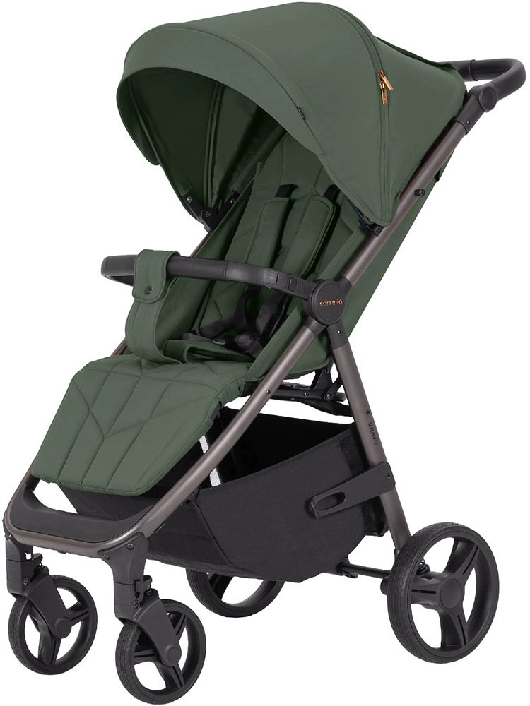 Прогулочная коляска CARRELLO Bravo CRL-8512PU Bergamot Green