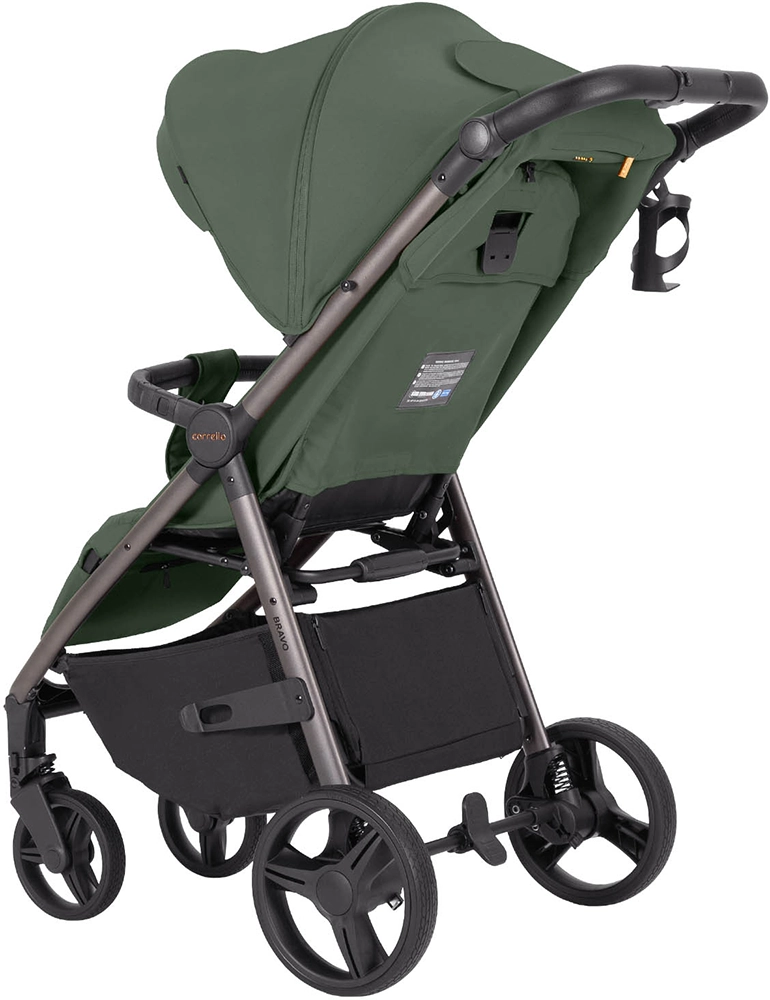 Прогулянкова коляска CARRELLO Bravo CRL-8512PU Bergamot Green