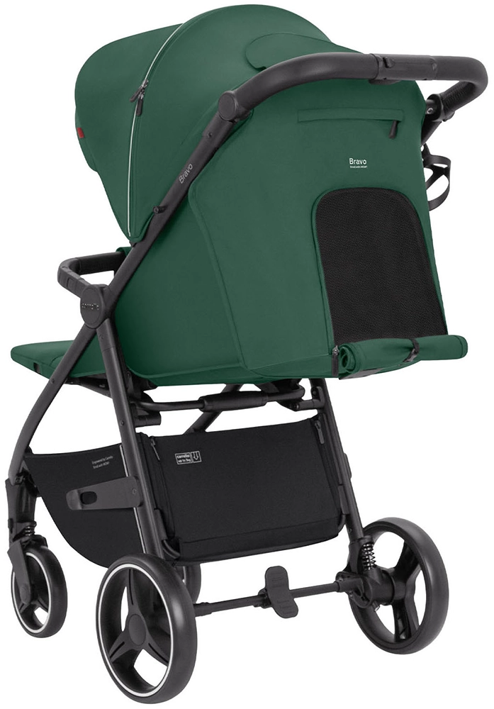 Дитяча прогулянкова коляска CARRELLO Bravo CRL-8512 Spring Green
