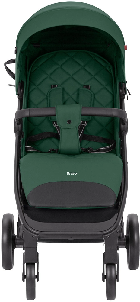 Дитяча прогулянкова коляска CARRELLO Bravo CRL-8512 Spring Green