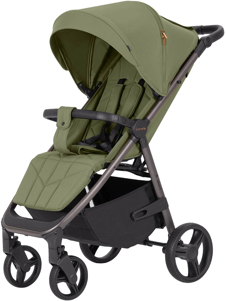Прогулочная коляска CARRELLO Bravo CRL-8512PU Pomelo Green