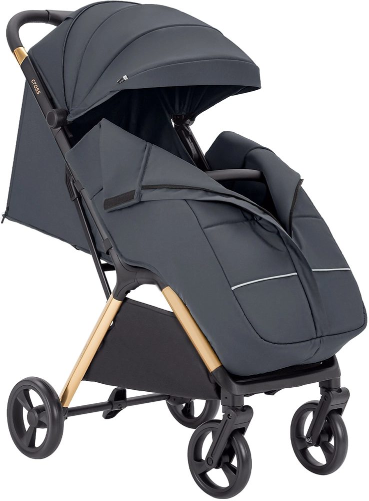 Прогулочная коляска CARRELLO Cross CRL-5523 Eagle Grey