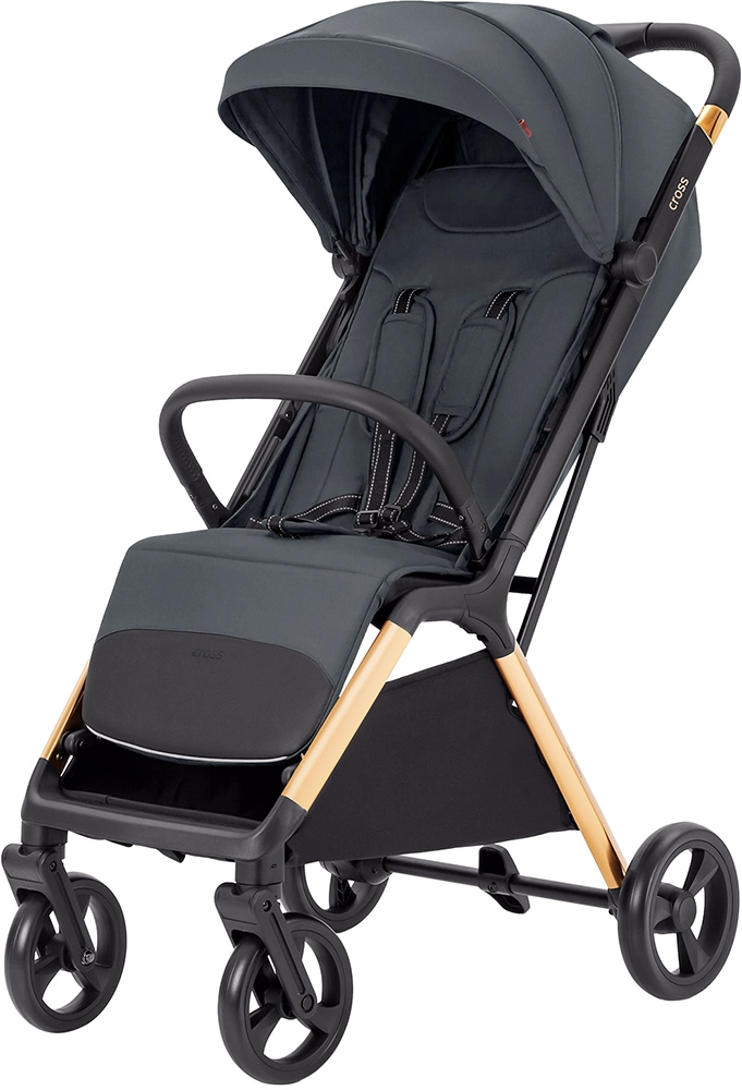 Прогулочная коляска CARRELLO Cross CRL-5523 Eagle Grey
