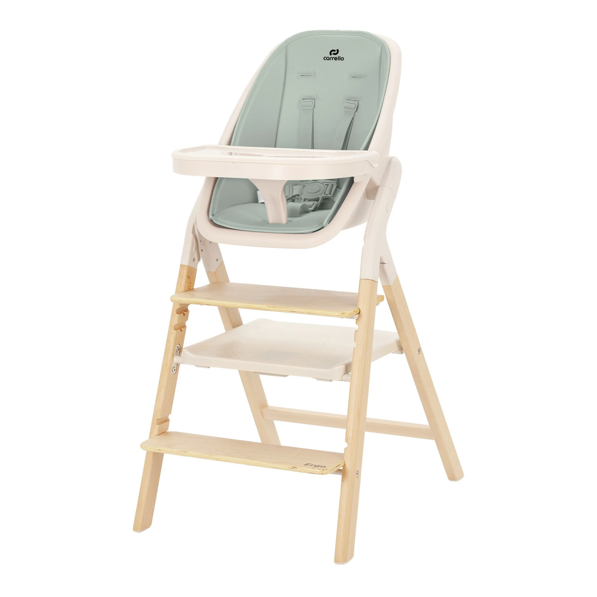 Стульчик для кормления CARRELLO Ergo CRL-16701 Elora Green