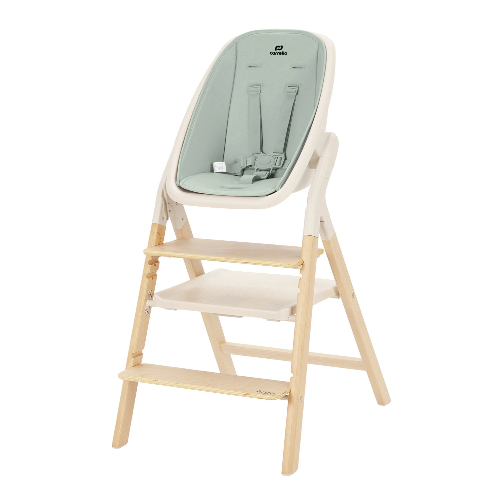 Стульчик для кормления CARRELLO Ergo CRL-16701 Elora Green