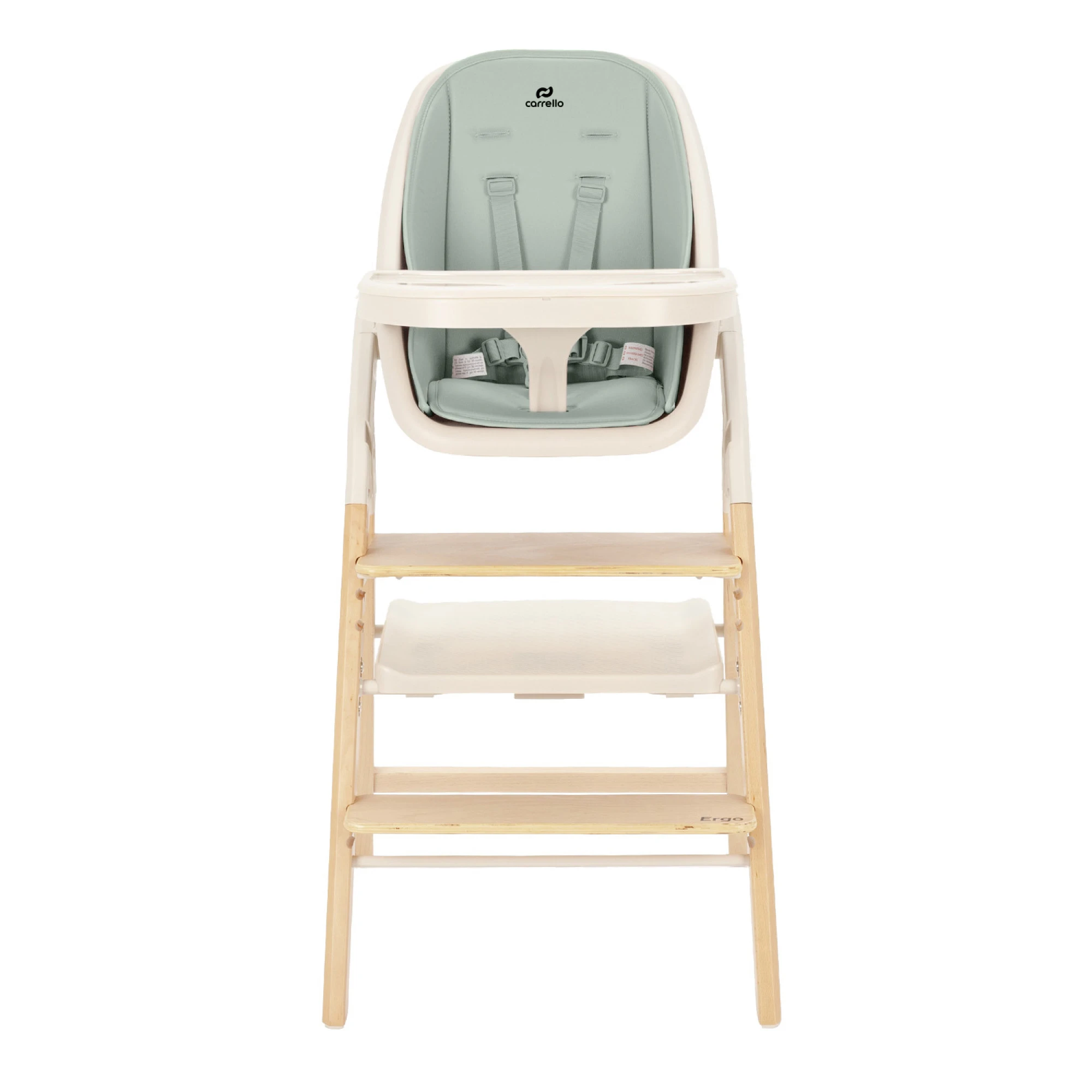 Стульчик для кормления CARRELLO Ergo CRL-16701 Elora Green