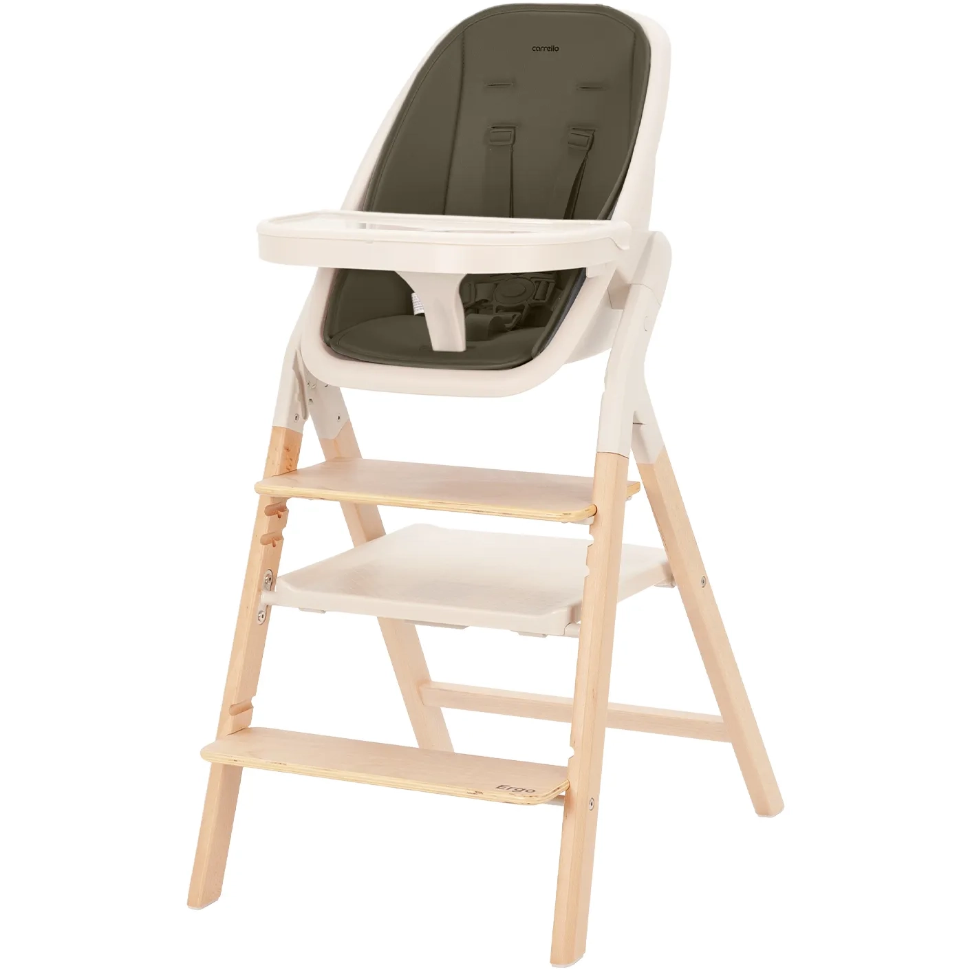 Стульчик для кормления CARRELLO Ergo CRL-16701 Pine Green