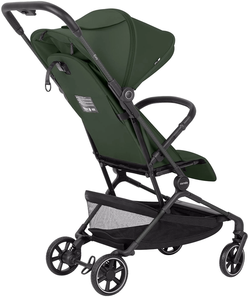 Прогулочная коляска CARRELLO Evo CRL-5533 Chateau Green