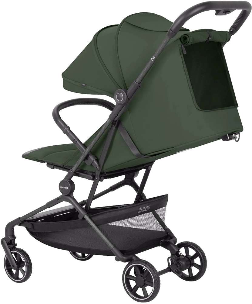 Прогулочная коляска CARRELLO Evo CRL-5533 Chateau Green