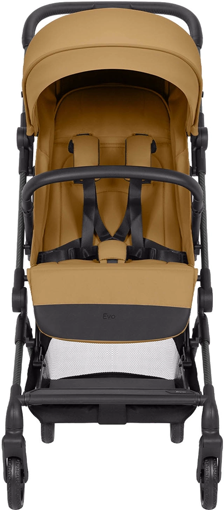 Прогулянкова коляска CARRELLO Evo CRL-5533 Medallion Beige