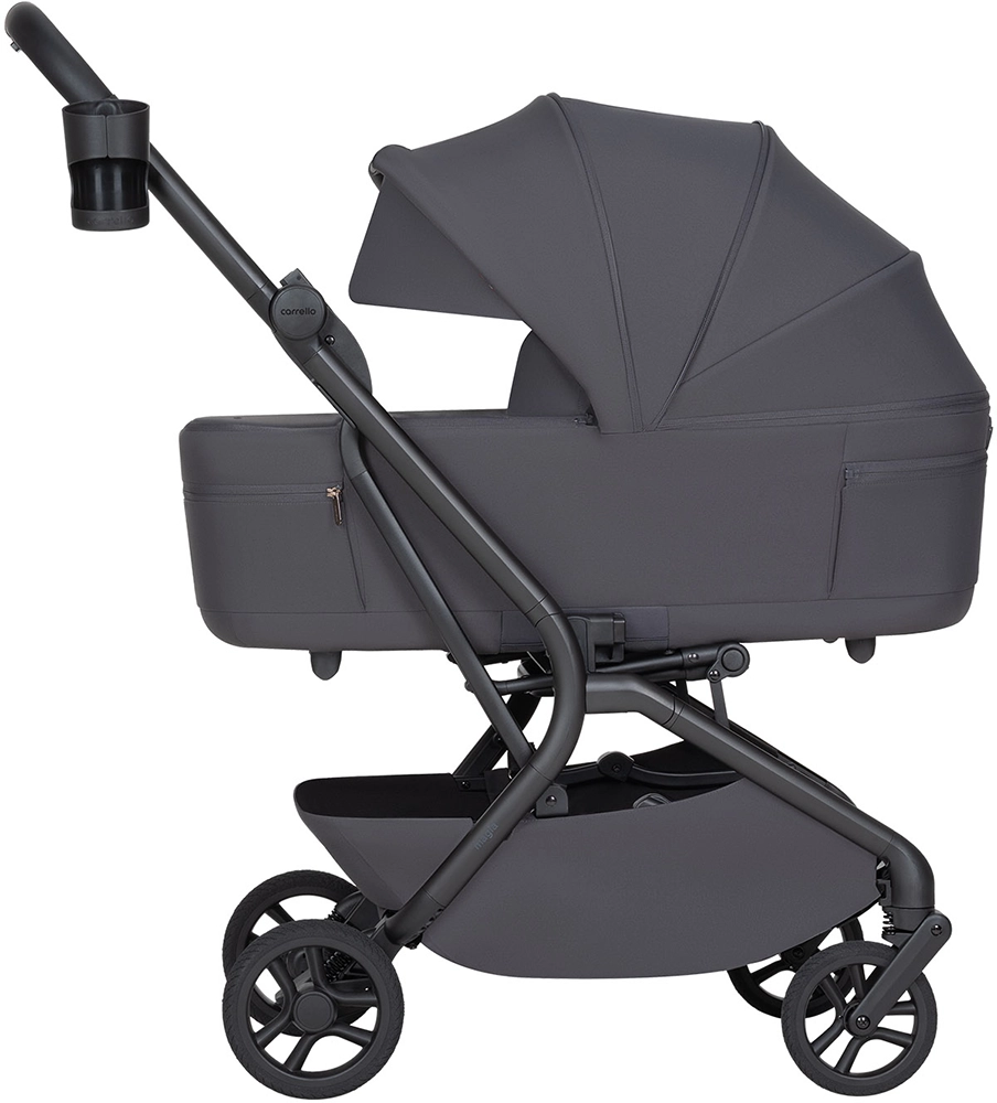 Коляска 2 в 1 Carrello Magia 2.0 CRL-6655 Elm Grey