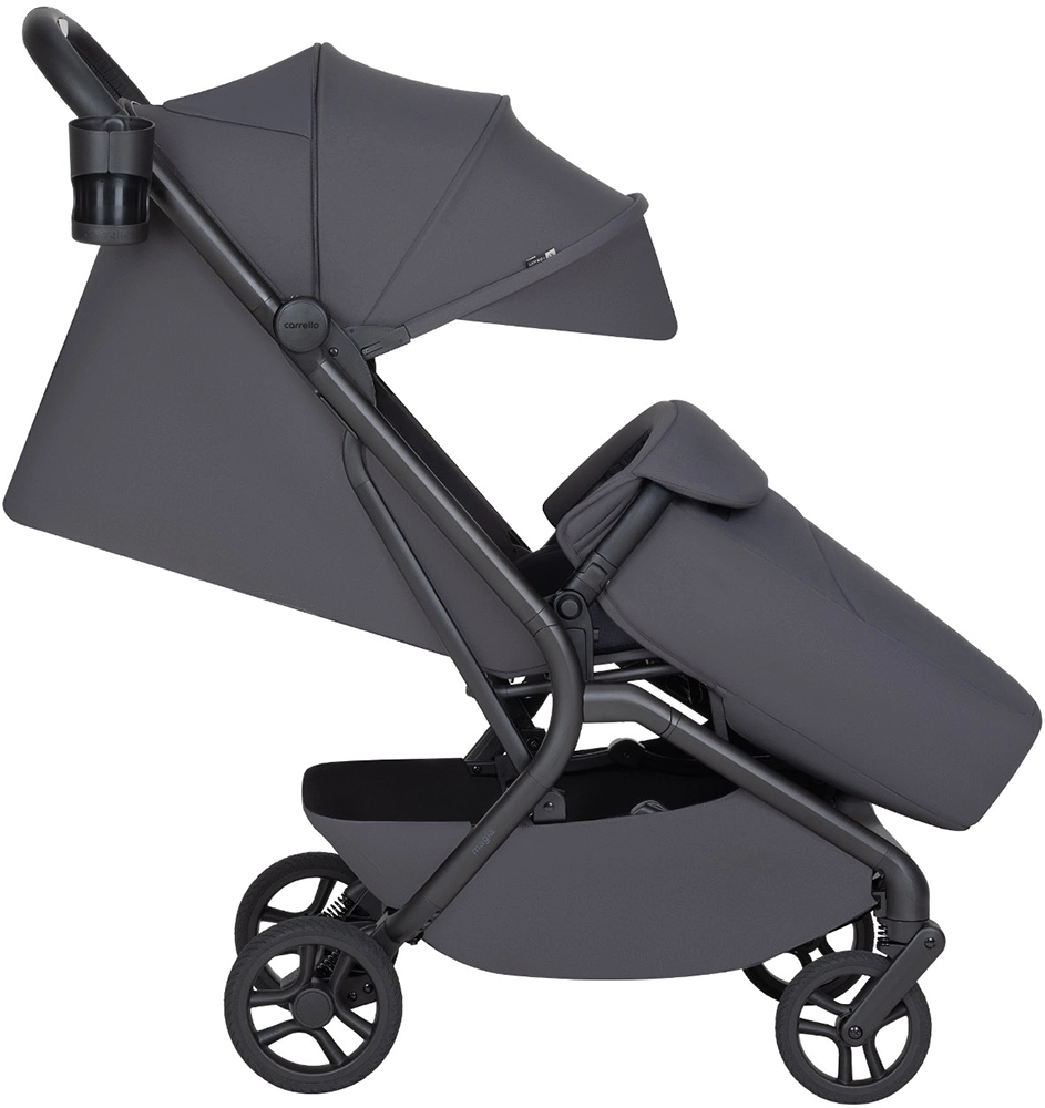 Коляска 2 в 1 Carrello Magia 2.0 CRL-6655 Elm Grey