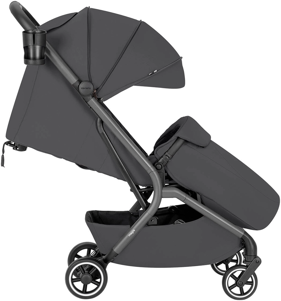 Коляска 2 в 1 Carrello Magia CRL-6555 Elm Grey