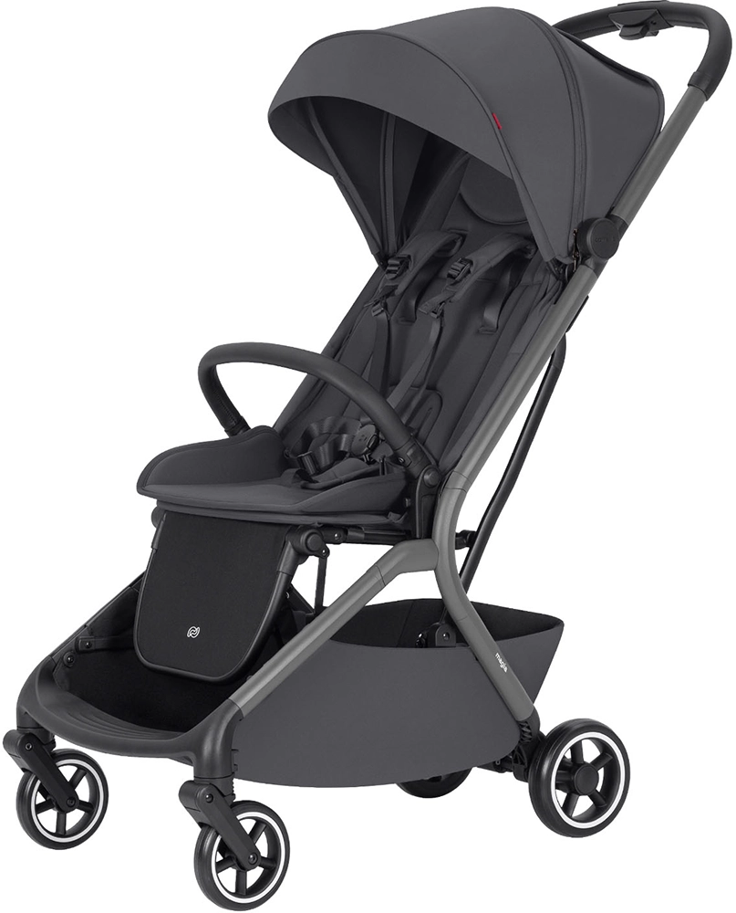 Коляска 2 в 1 Carrello Magia CRL-6555 Elm Grey