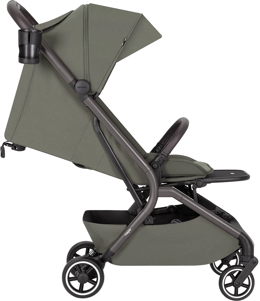Коляска 2 в 1 Carrello Magia CRL-6555 Malted Green