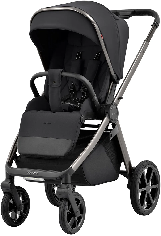 Коляски 2 в 1 Carrello Omega CRL-6530/1 Excellent Grey