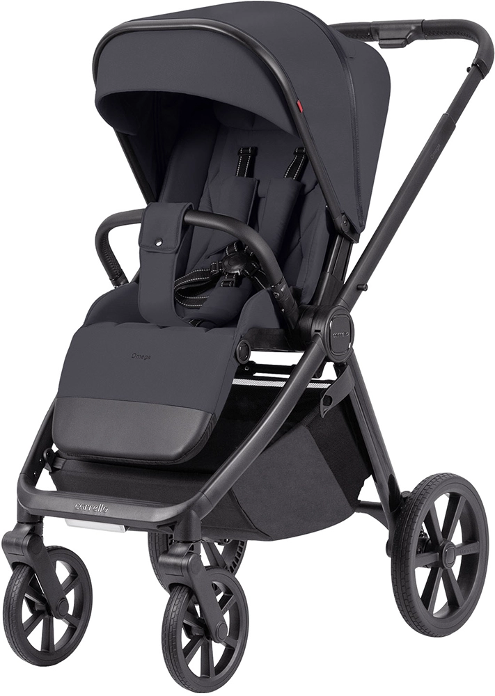 Коляска 2 в 1 Carrello Omega CRL-6540/1 Meteor Grey