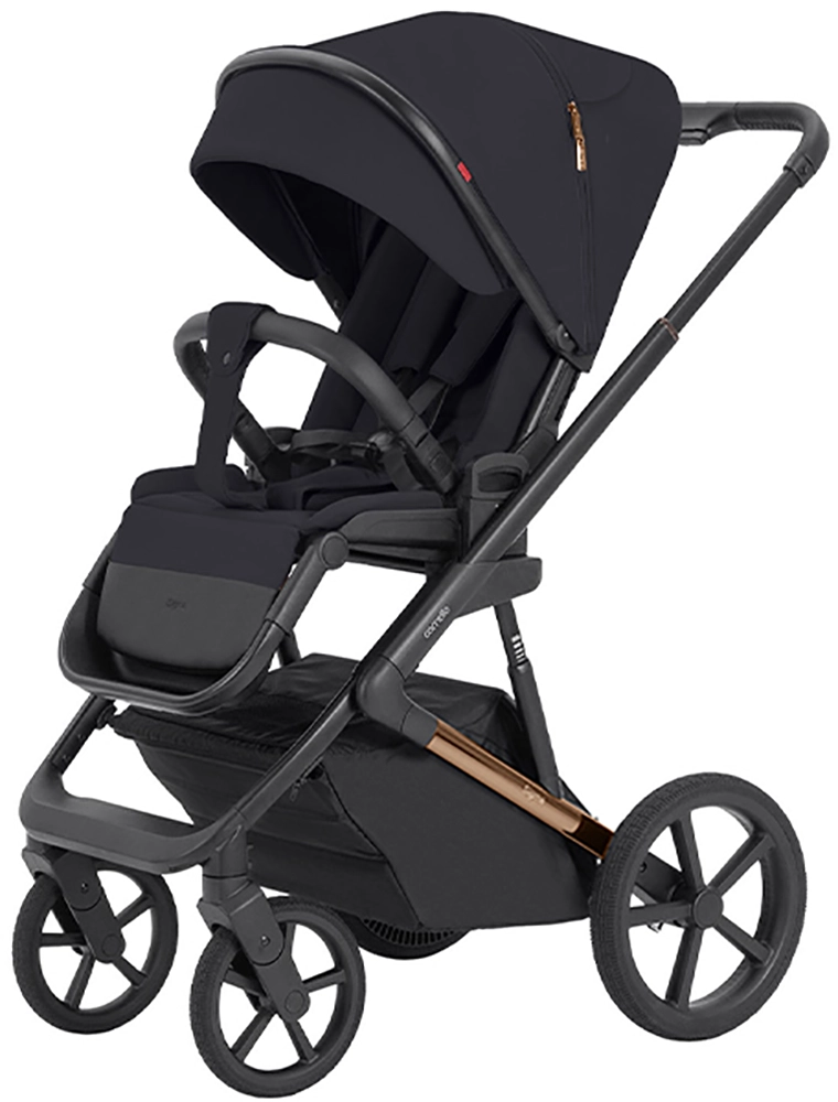 Детская коляска 2 в 1 Carrello Sigma CRL-6523 Iridium Black