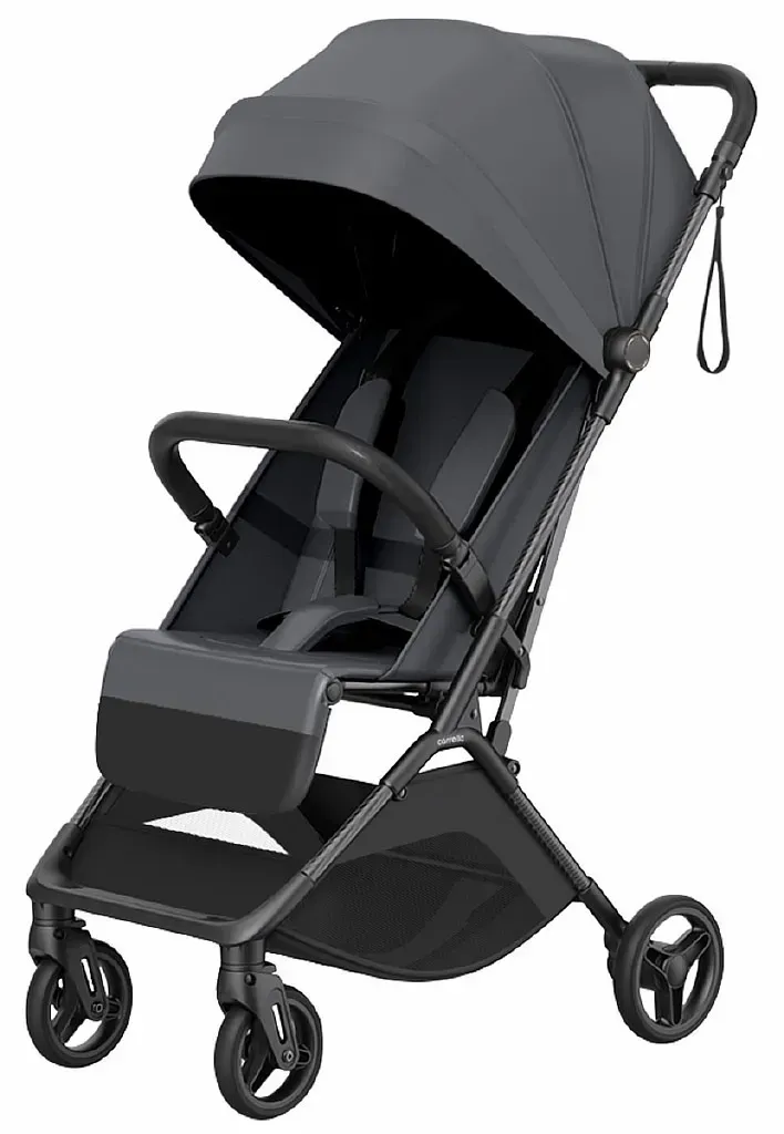 Прогулочная коляска Carrello Solo CRL-5531 Chrome Grey