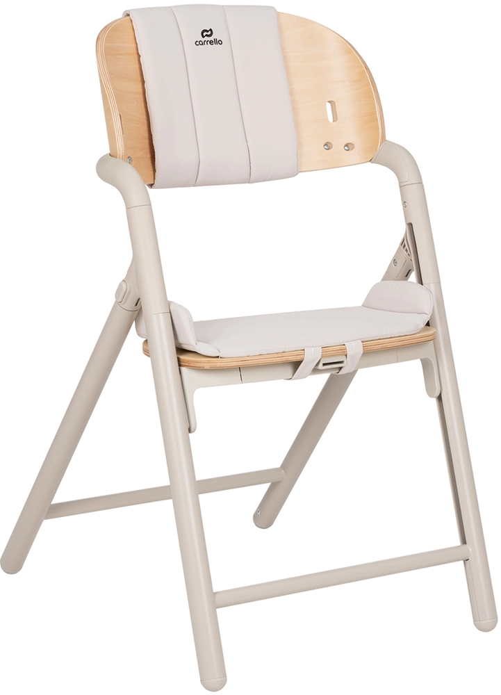 Шезлонг і стільчик-трансформер Carrello Tenero CRL-9507 Elysium Green