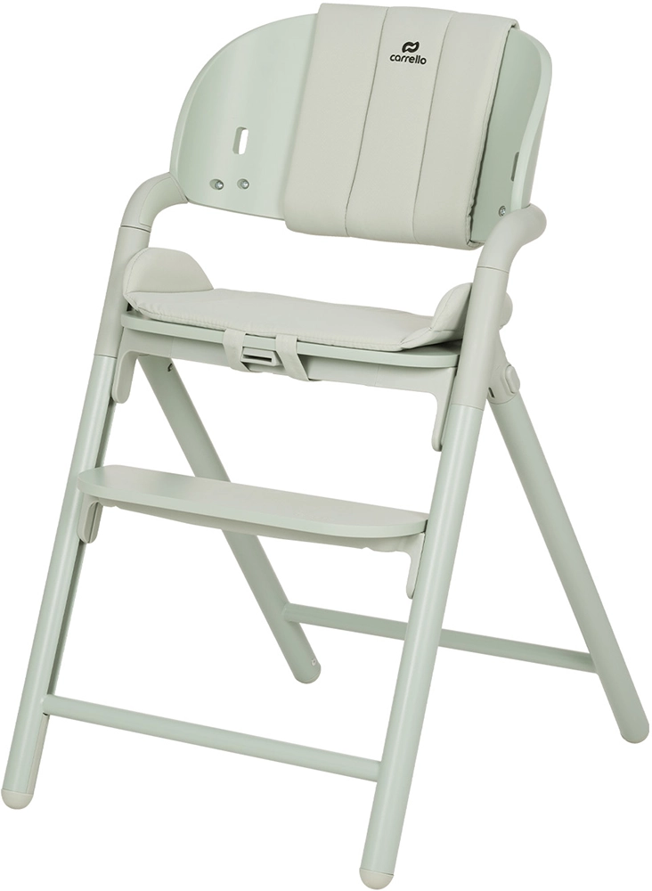 Шезлонг і стільчик-трансформер Carrello Tenero CRL-9507 Elysium Green