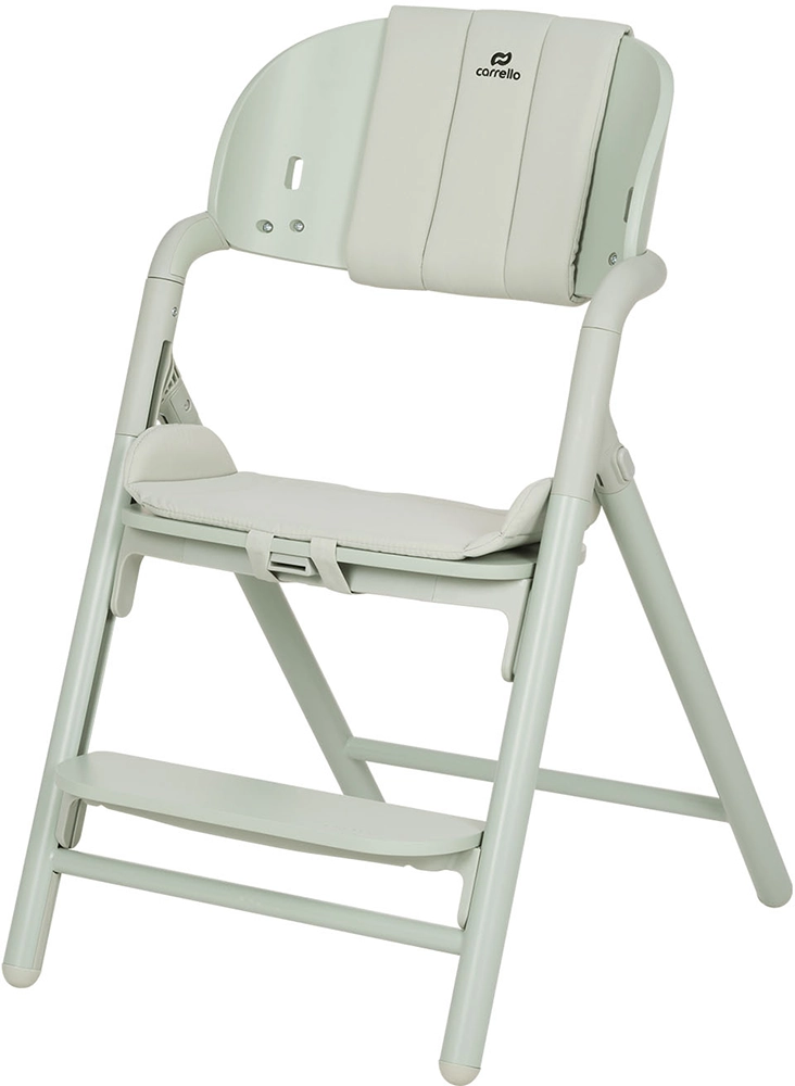 Шезлонг і стільчик-трансформер Carrello Tenero CRL-9507 Elysium Green
